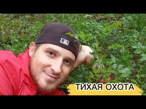 Видео: ЯГОДЫ и ГРИБЫ. Дары УРАЛЬСКОГО леса.