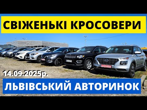 Видео: СВІЖІ ЦІНИ НА КРОСОВЕРИ / КАРБАЗАР ЛЬВІВ / 14.09.25р #автопідключ #колоритмоторс #автопідбірльвів