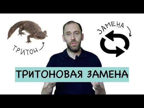 Видео: Тритоновая замена для самых маленьких