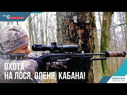 Видео: Охота на лося, оленя, кабана!