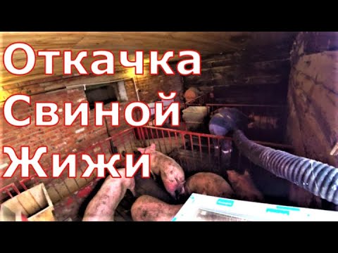 Видео: Откачка жижи из под пола