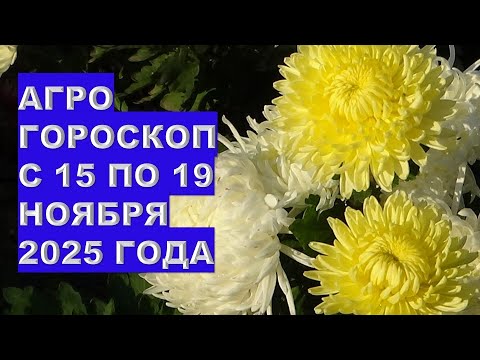 Видео: ЧТО и ПОЧЕМУ Нельзя Делать в Саду и на Огороде с 15 по 19 Ноября 2025?!