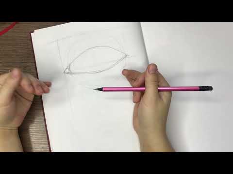 Видео: Будова ока.