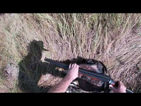 Видео: Охота на тетеревов,последняя с Иж 58