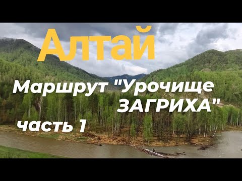 Видео: Алтай. Урочище Загриха Ч.1