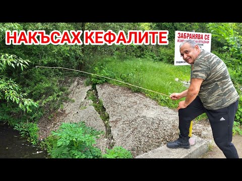 Видео: Уникален риболов на плувка в бързите води на река Батова! Супер приключение!