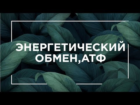 Видео: Энергетический обмен, АТФ | ЕГЭ Биология | Даниил Дарвин