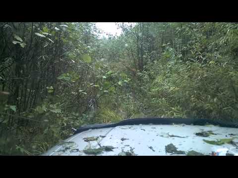 Видео: УАЗ Патриот: небольшое видео о разведке трассы для соревнований.