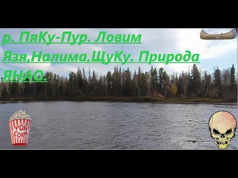 Видео: Вылазка на рыбалку. Сплавляемся на лодке по реке Пяку-Пур. Красоты крайнего Севера!