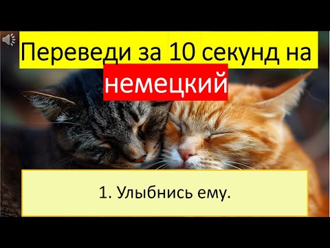 Видео: Тема: Как подружиться #221