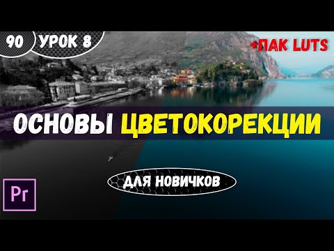 Видео: Курс по Premierer Pro | Урок №8 | Основы цветокоррекции в LUMETRI. #90