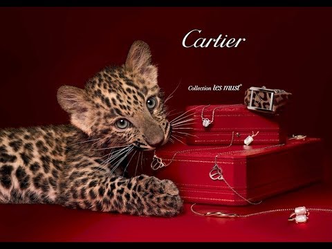 Видео: Cartier история ювелирного дома