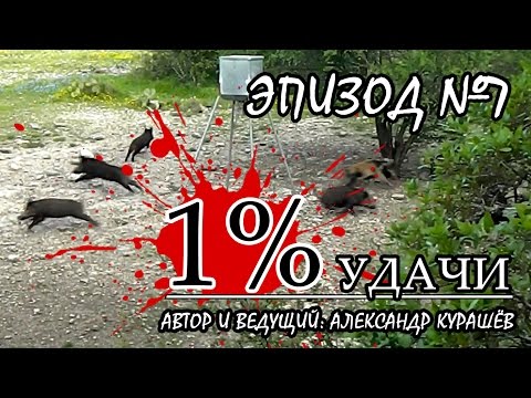 Видео: 1% УДАЧИ. Эпизод 007. Охота с луком на диких свиней в Техасе Часть 2