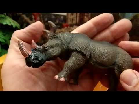 Видео: Attivio Семейство носорогов