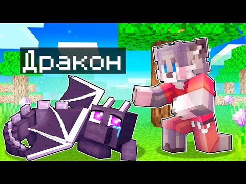 Видео: Я ВЫРАСТИЛ ЭНДЕР ДРАКОНА В МАЙНКРАФТ ! Я ПРИРУЧИЛ ДРАКОНА В MINECRAFT