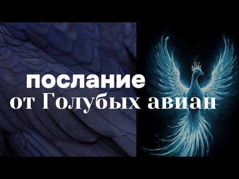 Видео: Голубые Авиане: Свет Победит🪬✨Ченнелинг-послание