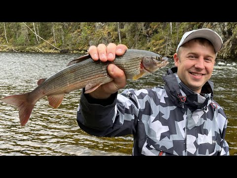 Видео: Ловля хариуса! Рыбалка в Уральских горах! Разловили новую муху! Первая серия! 140 км на лодке Solar