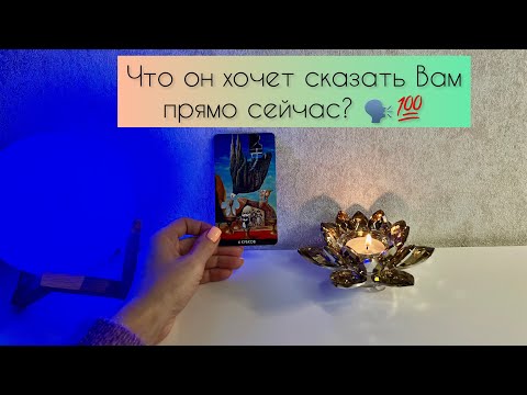 Видео: Что он хочет сказать Вам прямо сейчас? 🗣️💯