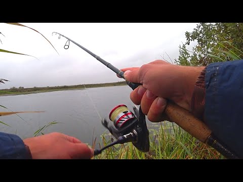 Видео: Рыбалка на СПИННИНГ с берега ! Ловля щуки на спиннинг в сентябре! Спиннинг 2021!