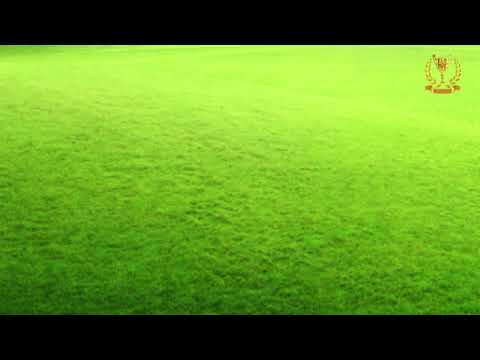 Видео: Медитация уверенности и доверия к миру