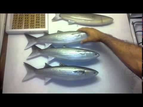 Видео: замануха часть1