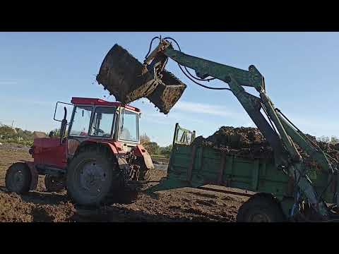 Видео: Внесення органічних добрив.🚜 ЮМЗ. РОУ 6