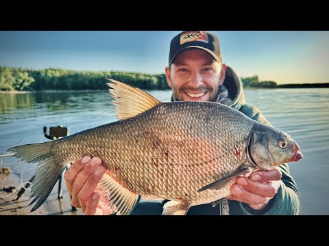 Видео: Первый ТРОФЕЙНЫЙ ЛЕЩ! Фидерное турне, серия 4. Ульяновск, Самара