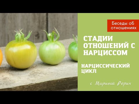 Видео: Стадии отношений с нарциссом. Осторожно "родные души"!!!