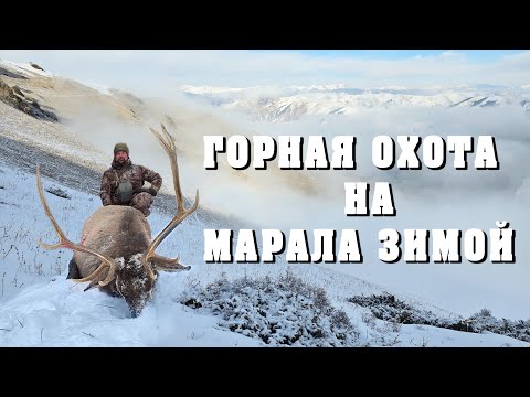 Видео: Горная охота на Марала зимой. Mountain hunting for Maral in winter