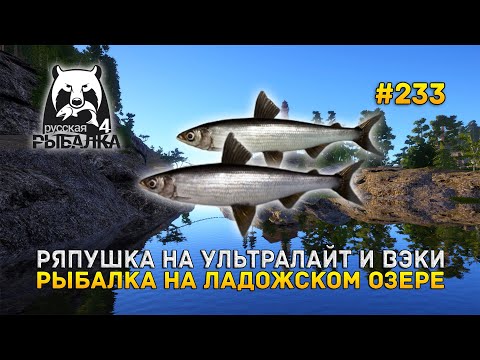 Видео: Ряпушка на Ультралайт и Вэки. Рыбалка на Ладожском озере - Русская Рыбалка 4 #233