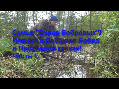 Видео: Семья " Супер Бобровых" или Очень умные Бобры! Как я добывал Бобра в Проходной капкан! Часть 1.