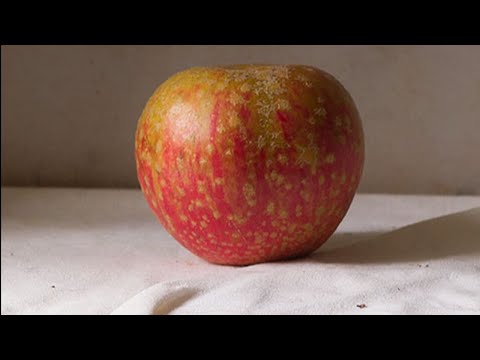 Видео: Munsell и HUE — как смешать цвета яблока