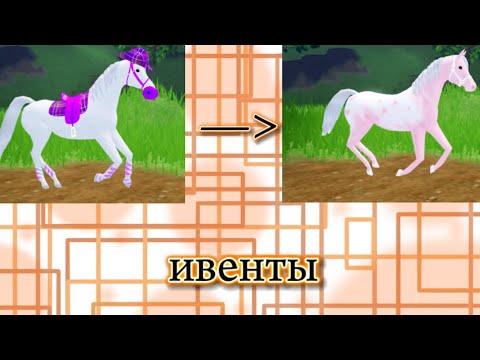 Видео: ВСЁ ПРО ИВЕНТОВ!