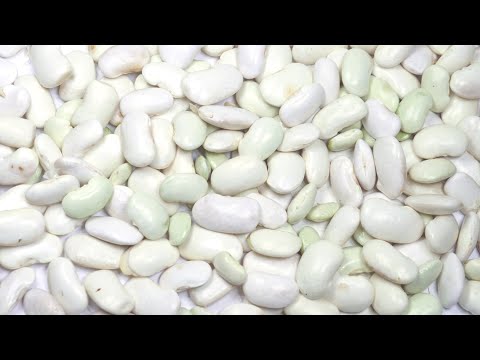 Видео: Ода о фасоли. Как вырастить Большую Белую Фасоль.