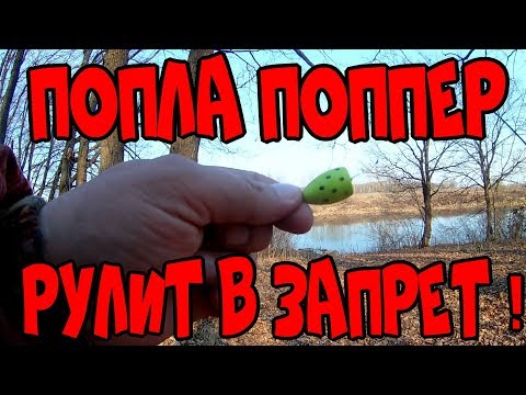 Видео: ПОПЛА ПОППЕР РУЛИТ В ЗАПРЕТ ! Первый раз в жизни ловлю на эту снасть.)))