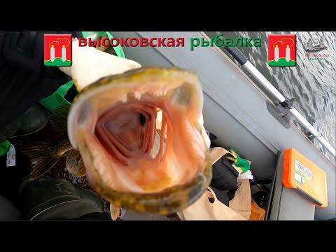 Видео: МОНСТРЫ ПОДМОСКОВЬЯ. Ловля щуки осенью на воблеры.