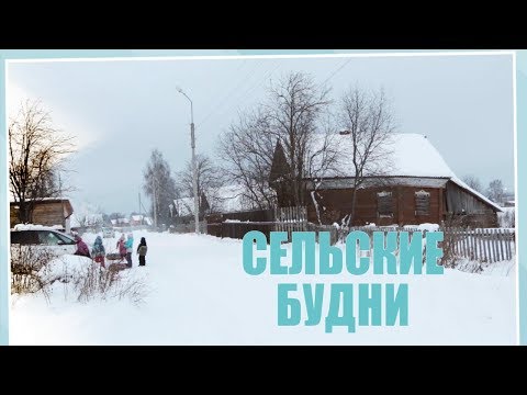Видео: Сельские будни 25.02.2019. Бобровниково.