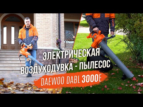 Видео: Электрическая воздуходувка-пылесос для загородного дома | DAEWOO DABL 3000E