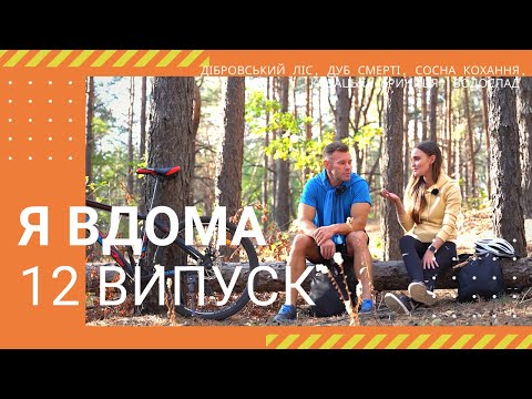 Видео: Я ДОМА! Дибровский лес, Дуб смерти, Сосна любви, Казацкий колодец, Водопад - Выпуск 12