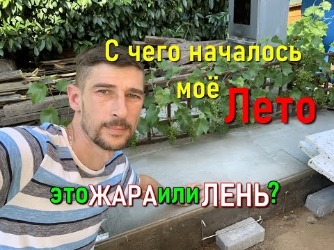 Видео: Дача летом в Германии. Как дела у карпа в пруду. Просто жара