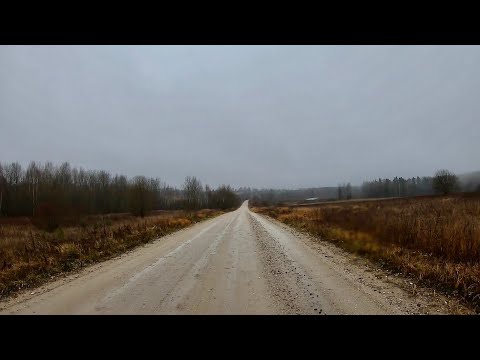 Видео: Тренировочный процесс,бегаю без цели,мысли о лыжном сезоне