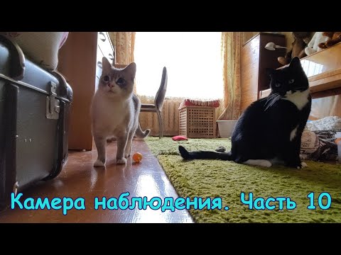 Видео: Камера наблюдения. Часть 10