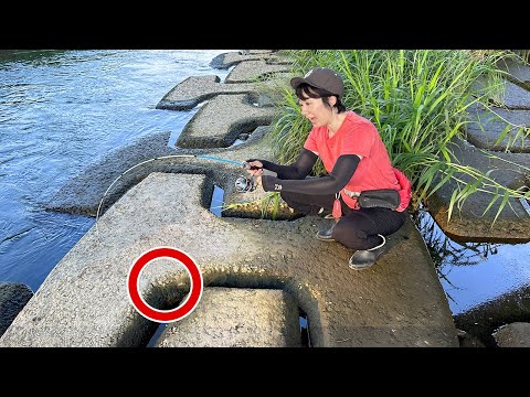 Видео: Когда я посадил в эти «норы»red wiggler, самые большие их съели! !