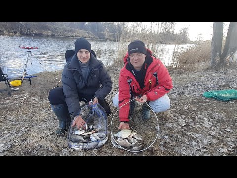 Видео: Фидер. Весна. Лещ. Река Северский Донец пос.Черемушное. Стоит ли добавлять летние добавки? 2021.