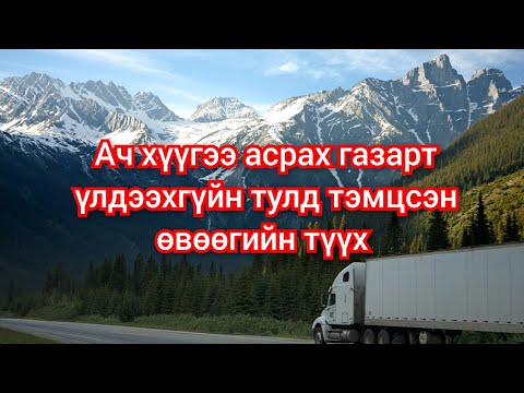 Видео: Ач хүүгийнхээ төлөө Амьдралаа зарцуулсан Өвөөгийн түүх. mongol duu kino кино дуу шинэ 2023 баримтат