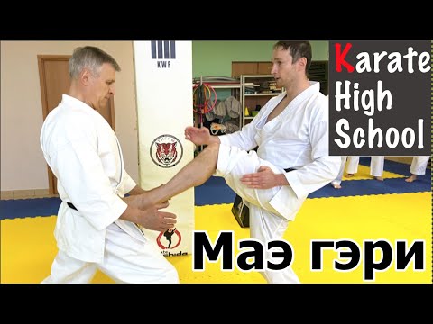 Видео: Мае гери | Техника | Как тренировать | Тактика применения | Александр Чичварин