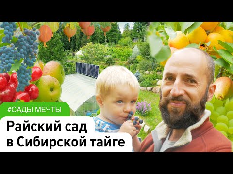 Видео: Ландшафтный дизайн участка. Обзор плодово-ягодного сада. #СадыМечты #ДенисСафронов #СадовыйЭксперт