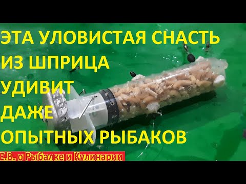 Видео: СДЕЛАЛ СЕКРЕТНУЮ САМОДЕЛЬНУЮ СНАСТЬ ИЗ ШПРИЦА И ТЕПЕРЬ ЛОВЛЮ КРУПНЫХ КАРПОВ И КАРАСЕЙ МЕШКАМИ