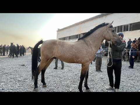 Видео: Срочно 🚨 АСПБОЗОРИ ЛЕНИНСКИЙ РАЙОН 😱22:10:2025. 🚑 100:000 хазор ПРАСМОТР 🚨😱