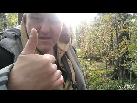 Видео: Бушкрафт выживания добыча еды без ни чего